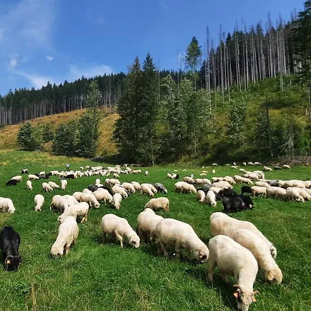 Nad Dolina Z Tarasem I Jacuzzi Kościelisko