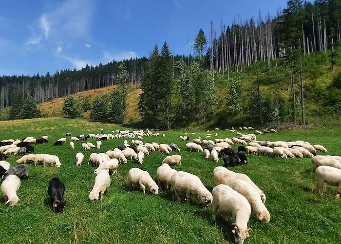 Nad Dolina Z Tarasem I Jacuzzi 考斯赛力克